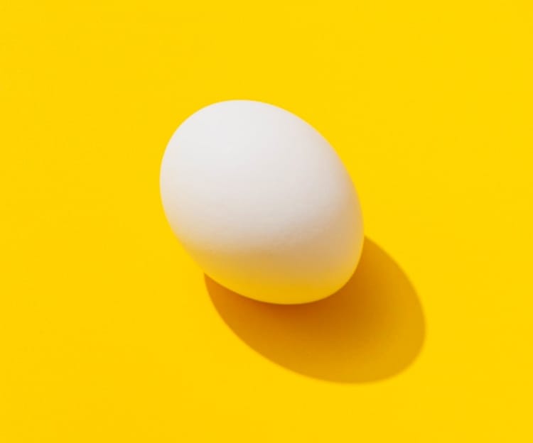 image of a Egg(transformation)